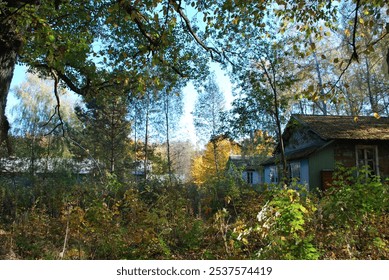 forest road, sunny day, nature, sunlight, trees, trail, scenic, greenery, peaceful, outdoors, summer, natural landscape, sunlit, path, wilderness, rural, wooded path, forest landscape, bright, calm, c - Powered by Shutterstock