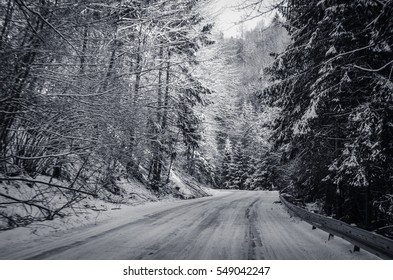 Forest Road In Winter Time Covered By Snow 