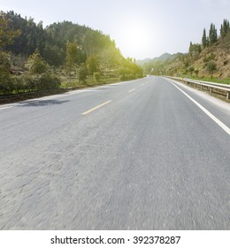 forest roads