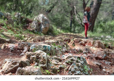 Forest Rocky Path With Stones, The Lykia Route Way Long Distance Trail In Turkey Mediterranean Coast