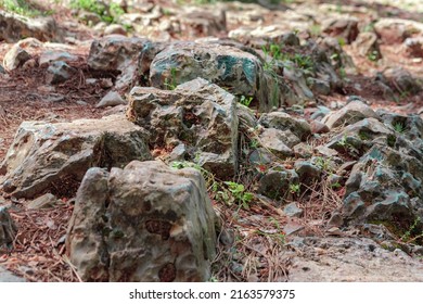 Forest Rocky Path With Stones, The Lykia Route Way Long Distance Trail In Turkey Mediterranean Coast