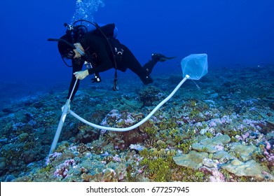 Forest Rohwer From San Diego State University Collecting Water On The Reef For Collection Of Viruses And Bacteria Living Around And On Coral Reefs. Palmyra Atoll USA. July 2005.