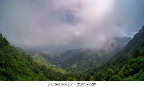 Forest Scape With Cloud Cover