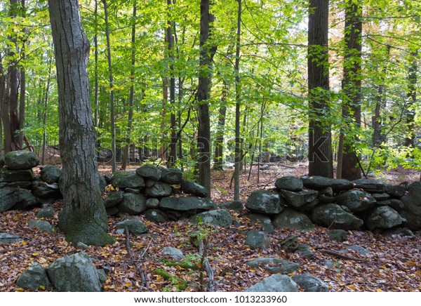 Forest Scene Crumbling Stone Wall Peaceful Stock Photo Edit Now