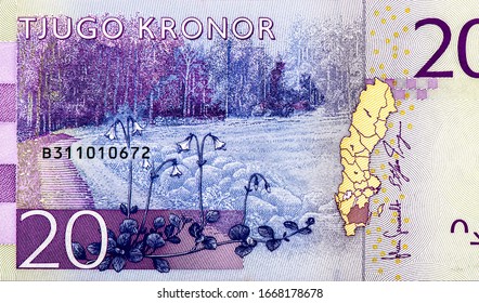 Forest scene with flowers, representing the Swedish region Smaland. Portrait from Swedish 20 Kronor 2015 Banknotes. 