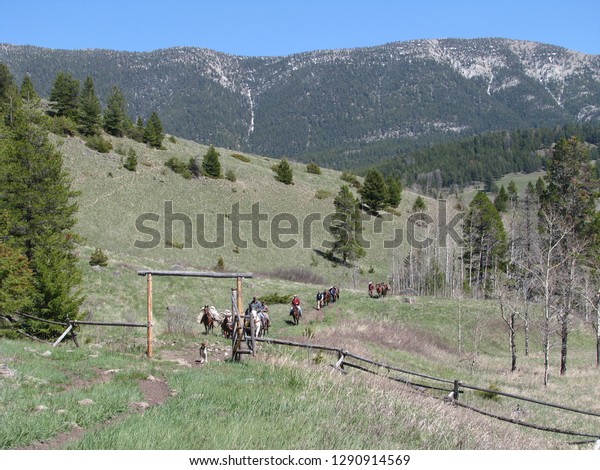Forest Service Work Crew On Horseback Stock Photo Edit Now