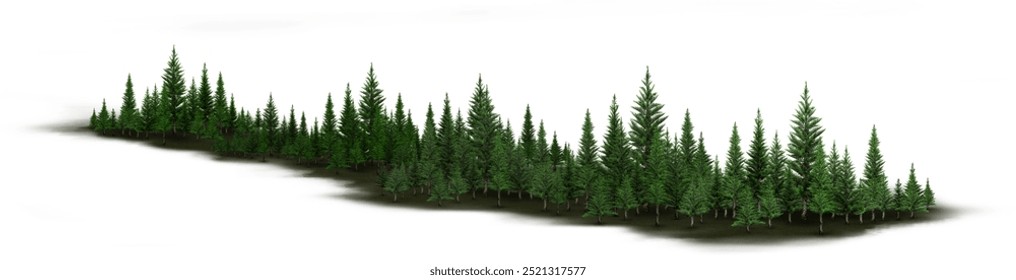 Forest and shrubbery, tall green pine, evergreen pine, green pine, green shrub.