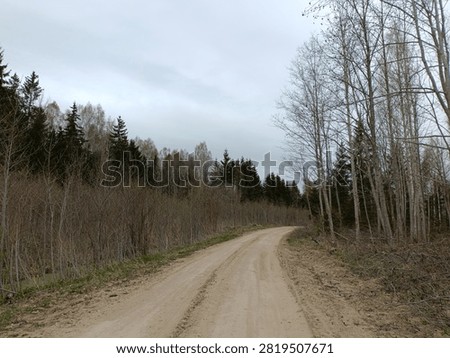 Forest in Siauliai county during cloudy spring day. Oak and birch tree woodland. Cloudy day with white clouds in sky. Bushes are growing in woods. Nature. Spring season. Miskas.