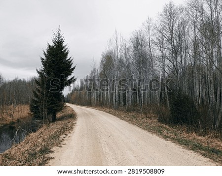 Forest in Siauliai county during cloudy spring day. Oak and birch tree woodland. Cloudy day with white clouds in sky. Bushes are growing in woods. Nature. Spring season. Miskas.