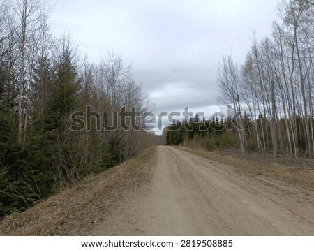 Forest in Siauliai county during cloudy spring day. Oak and birch tree woodland. Cloudy day with white clouds in sky. Bushes are growing in woods. Nature. Spring season. Miskas.