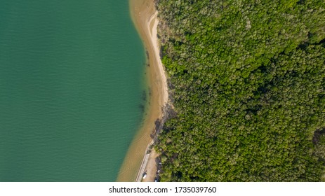 The Forest And The Siret River