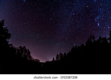 Forest Sky At Night With Stars And Tree Top Silhouettes In The Background