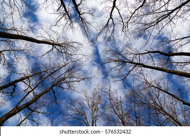 Sky View 이미지, 스톡 사진 및 벡터 | Shutterstock