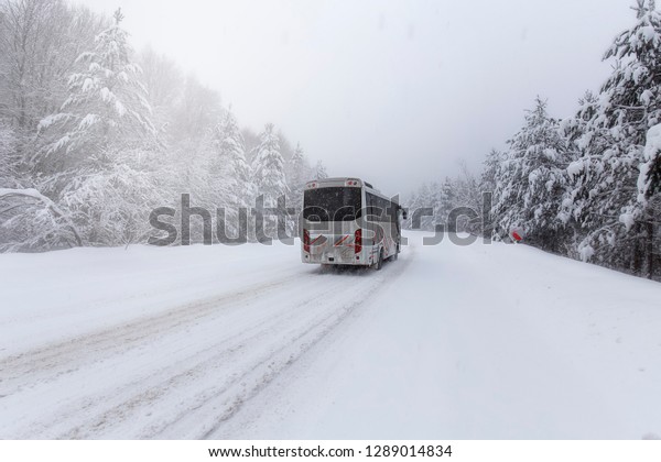 Forest, snowy mountain road. Places are snowy and\
icy. Vehicles going on snowy road. Winter landscapes. Uludag\
National Park, Bursa.\
Turkey.