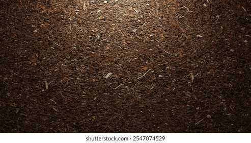 Forest soil texture. Top view point. Soil with dry leaves and stems. Suitable for surface, display, website, wallpaper, celebration, inspiration - Powered by Shutterstock