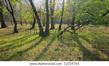 Similar – Image, Stock Photo Path in an oak grove path