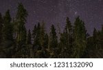 Forest Star View