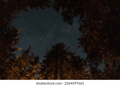 Forest and Stars with night photography