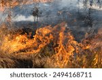 Forest and steppe fires dry completely destroy the fields and steppes during a severe drought. Disaster brings regular damage to nature and economy of region. Lights field with the harvest of wheat