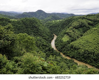 Forest stream stream - Shutterstock ID 683252719