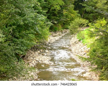 Forest stream