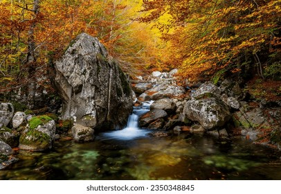 Forest stream in the autumn forest. Autumn forest stream. Forest river stream in autumn. Autumn stream in forest - Powered by Shutterstock