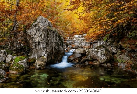 Forest stream in the autumn forest. Autumn forest stream. Forest river stream in autumn. Autumn stream in forest