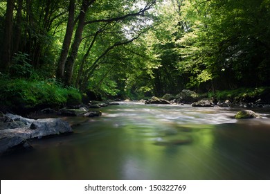 Forest Stream Dordogne, France.