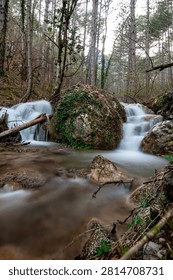Forest stream flows gently over rocks and logs. Trees stand tall in soft, misty background light. Mossy boulders frame the flowing water. Long exposure blurs motion, giving serene motion blur