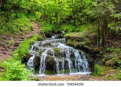 Forest stream "Gremuchiy ruchey" - Natural landmark in Zhukovsky district, Kaluzhskiy region, Russia