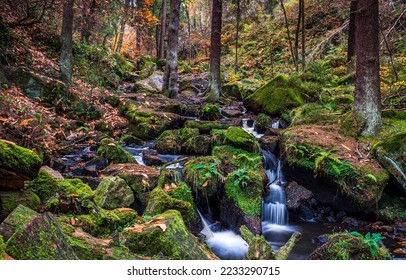 Forest stream on mossy stones in autumn. Mossy forest brook in autumn. Autumn forest brook landscape. Mossy forest in autumn landscape