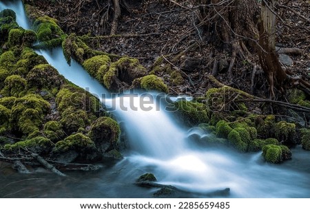 Forest stream on mossy stones. Waterfall stream on mossed rocks. Mossy stones in forest waterfall stream. Waterfall mossy stones