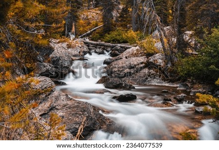 Forest stream on the rocks in the autumn forest. Autumn forest stream. River stream in autumn. Autumn river stream