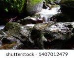                   Forest stream running over mossy rocks in Taiwan, Mao-Kong             