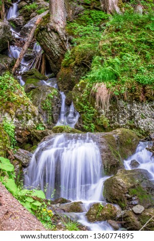 Similar – Image, Stock Photo Bear Guard Gorge Nature