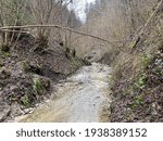 A forest stream that flows through the Stampfigraben ravine near the village of Wolhusen - Switzerland (Schweiz)