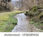 A forest stream that flows through the Stampfigraben ravine near the village of Wolhusen - Switzerland (Schweiz)