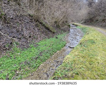 A forest stream that flows through the Stampfigraben ravine near the village of Wolhusen - Switzerland (Schweiz)