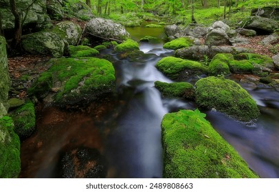 Forest streem flowing. A stream on mossy rocks. Stream in mossy forest. Mossy rocks stream flow - Powered by Shutterstock