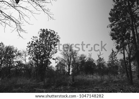 Similar – Image, Stock Photo 4 times 1ne fallow land with chimney