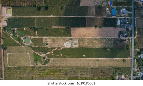 Forest Top View By Drone. Aerial View Landscape.top View Farm And Field Rice
