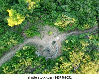 forest top view from the drone summer

