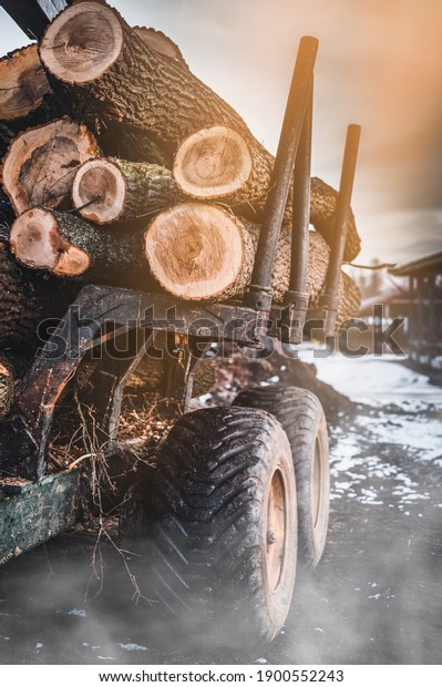 Forest  tractor loaded\
with logs. Forestry tractor or forestry tractor for harvesting wood\
in the forest.