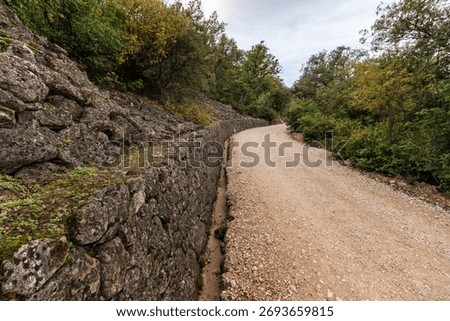 Forest trail leading to the summit of the Carrascal de la Font Roja Natural Park in Alcoy, Spain