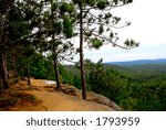 Forest trail on pine cliffs in Algonquin provincial park in Canada