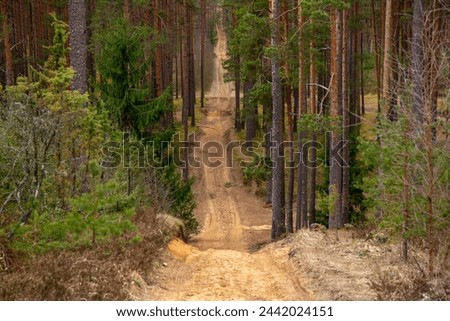 Forest trail in Zvirgzde white dune nature park in Vecumnieki in March in Latvia