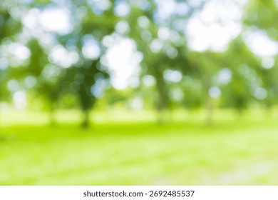 Forest tree background blur focus,Blur defocused park garden tree in nature background.