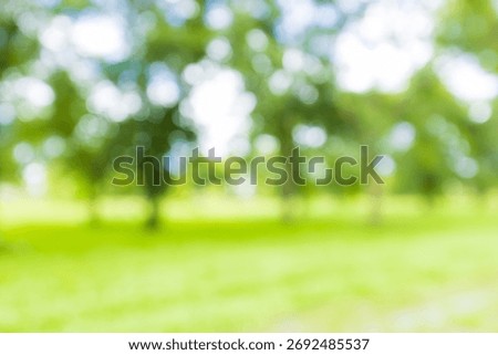 Forest tree background blur focus,Blur defocused park garden tree in nature background.