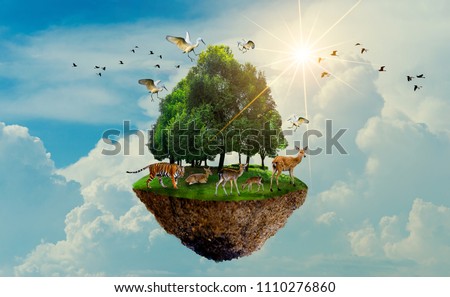 forest tree Wildlife tiger Deer Bird Island Floating in the sky World Environment Day World Conservation Day Earth Day