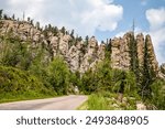 The forest trees and cliffs on Needles Highway in Custer State Park, Black Hills, South Dakota